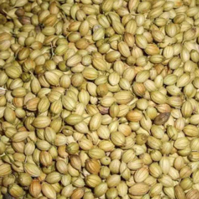 Coriander Seeds