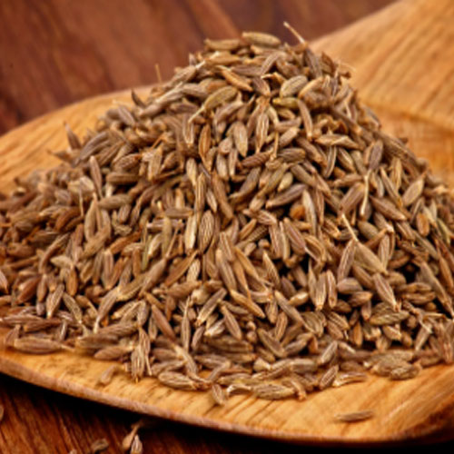 Cumin seed exporter