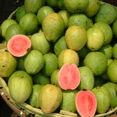 Guava