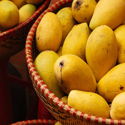 Mango