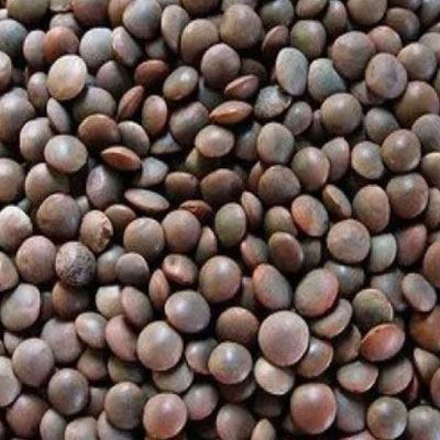 Masoor Dal