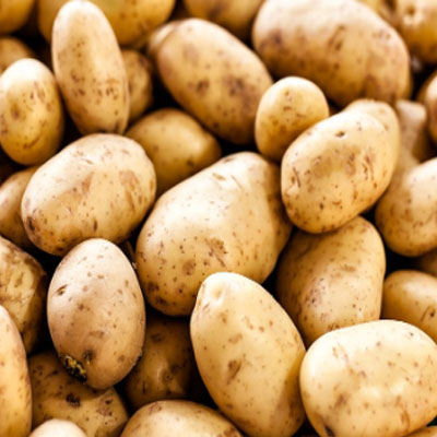 Potato