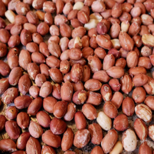 Roasted peanut exporter